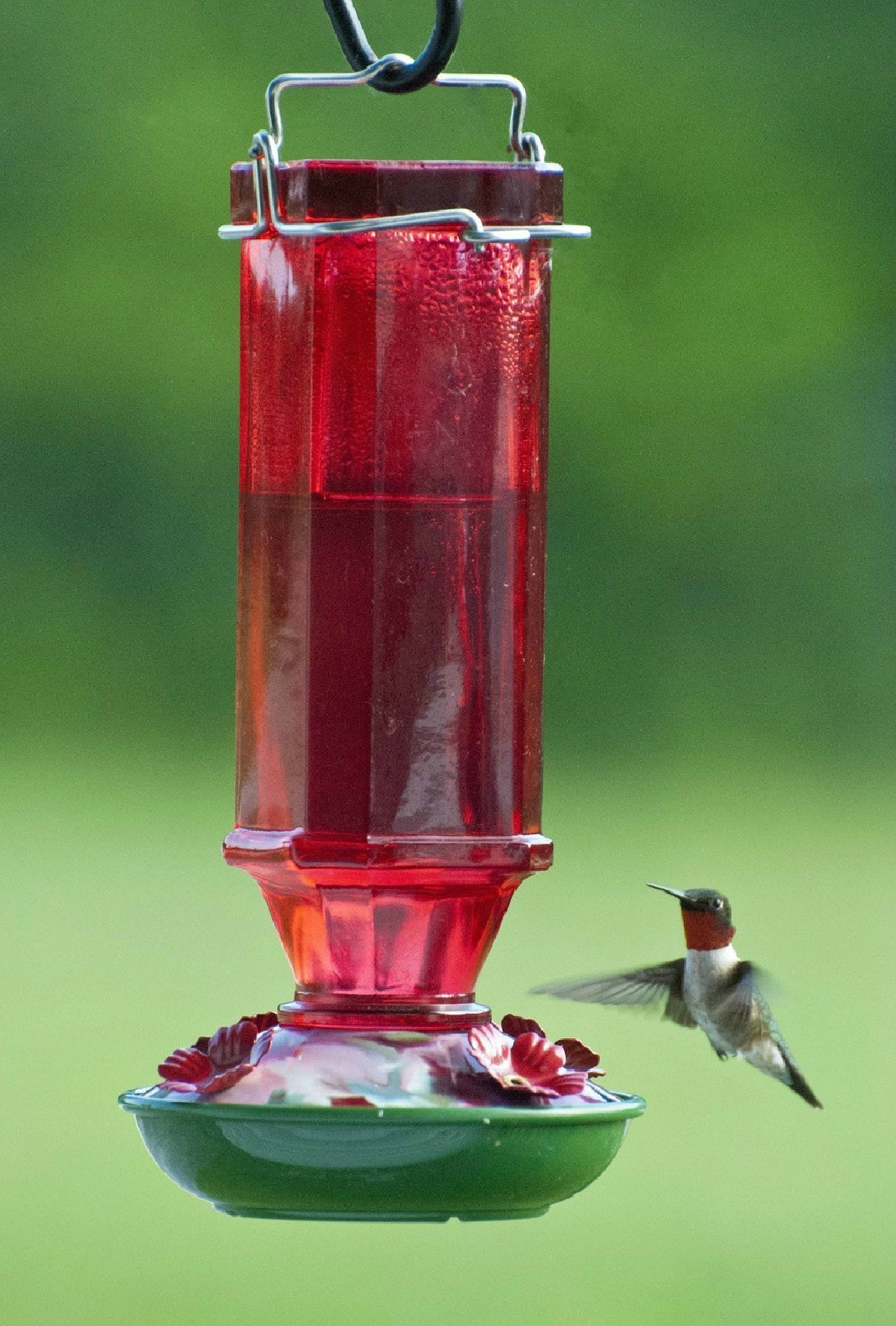 Audubon™ NA35241 Vintage Square Hummingbird Bird Feeder, 16 Oz, Ruby