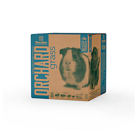 Otter Orchard Grass Premium 10lb