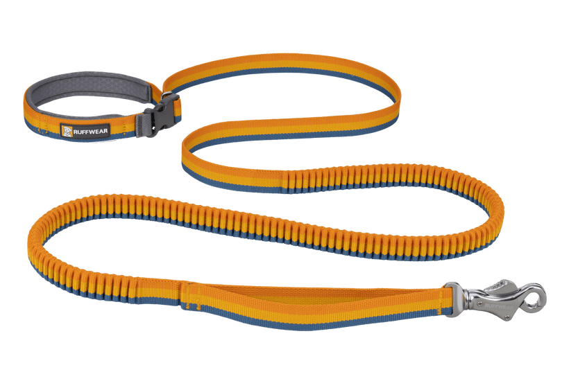 Ruffwear Roamer Bungee Dog Leash in Yellow Snow