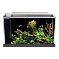Fluval Spec Aquarium Kit - Black