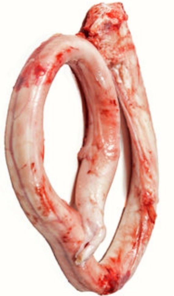 Bulk Beef Pizzles 30 lbs