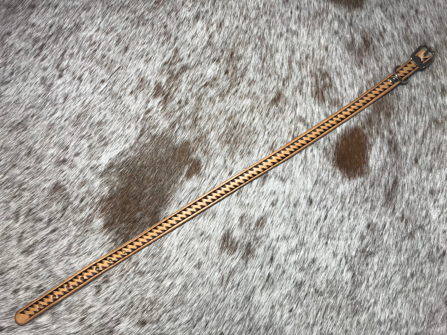 Narrow hand tooled collar for small dogs