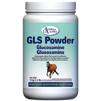 Omega Alpha GLS Powder Glucosamine 1kg - YesWellness.com