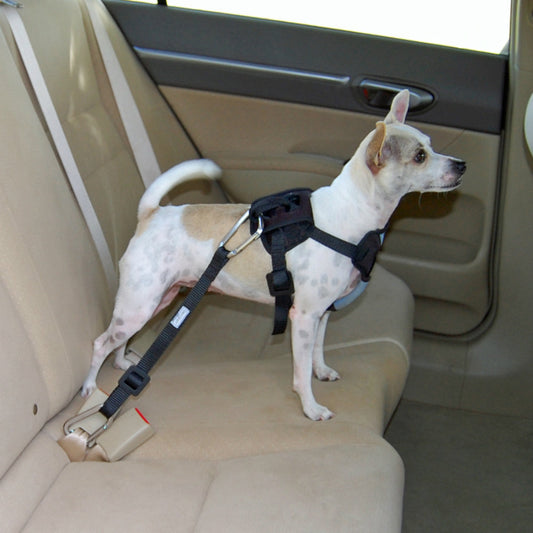 Bergan® 88230 Dog Auto Safety Harness with Tether, Small