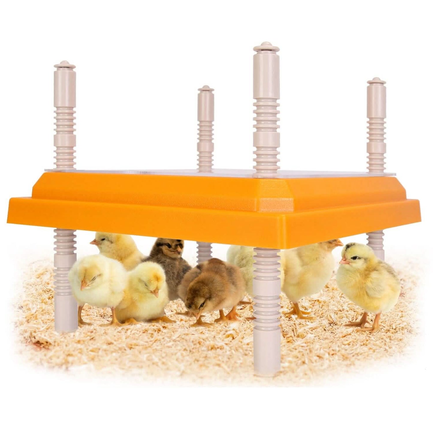 15W Chicken Brooder Heater with Adjustable  Height Angle Max 131℉