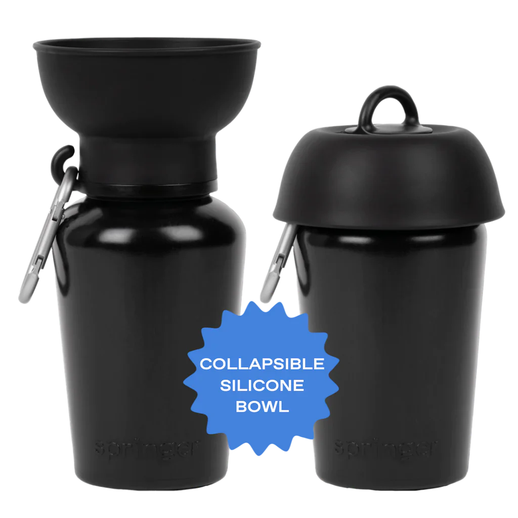 Springer Classic Flip Dog Travel Bottle (Colors)