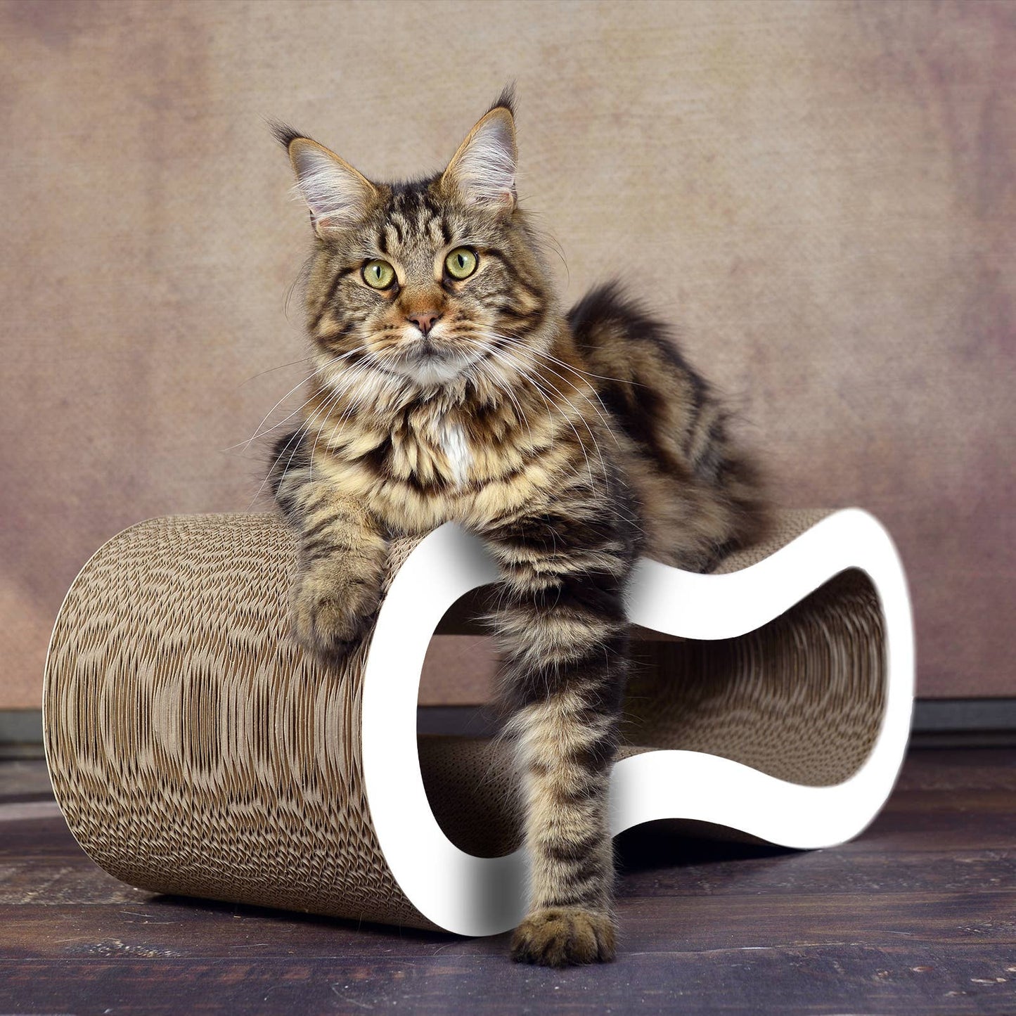 Singha M design cat furniture