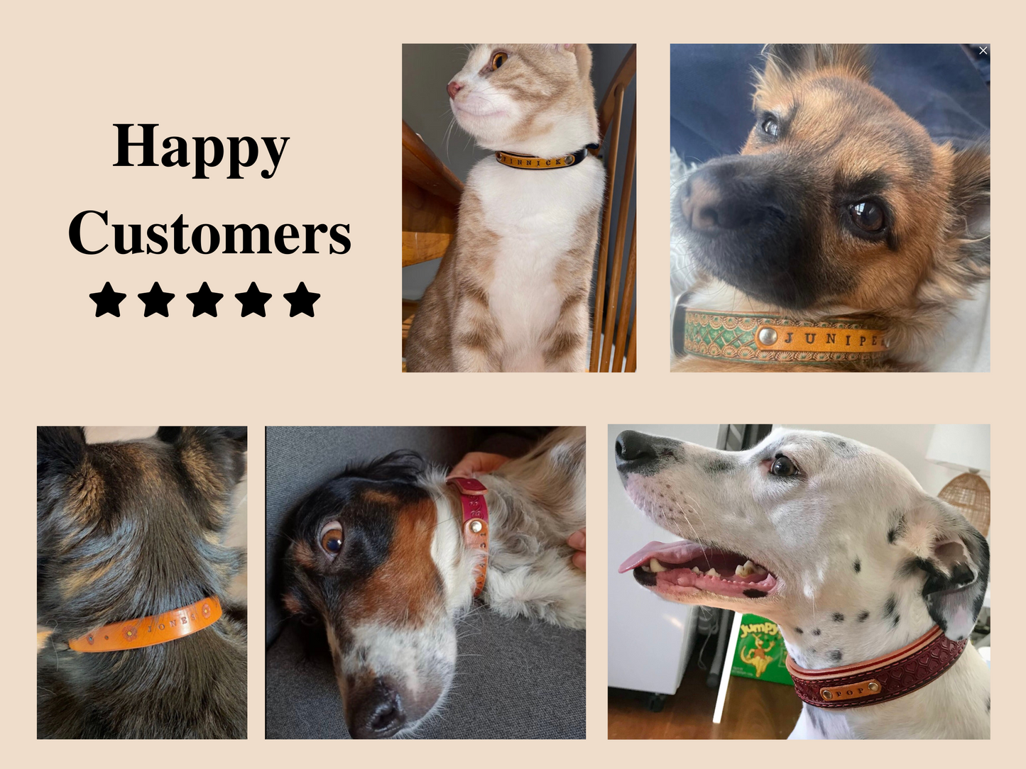 Diamond carved double layered dog collar