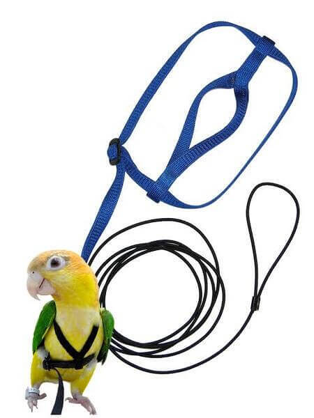 Aviator Bird Harness