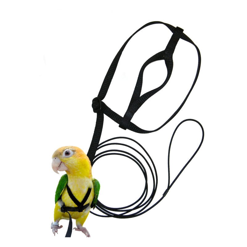 Aviator Bird Harness