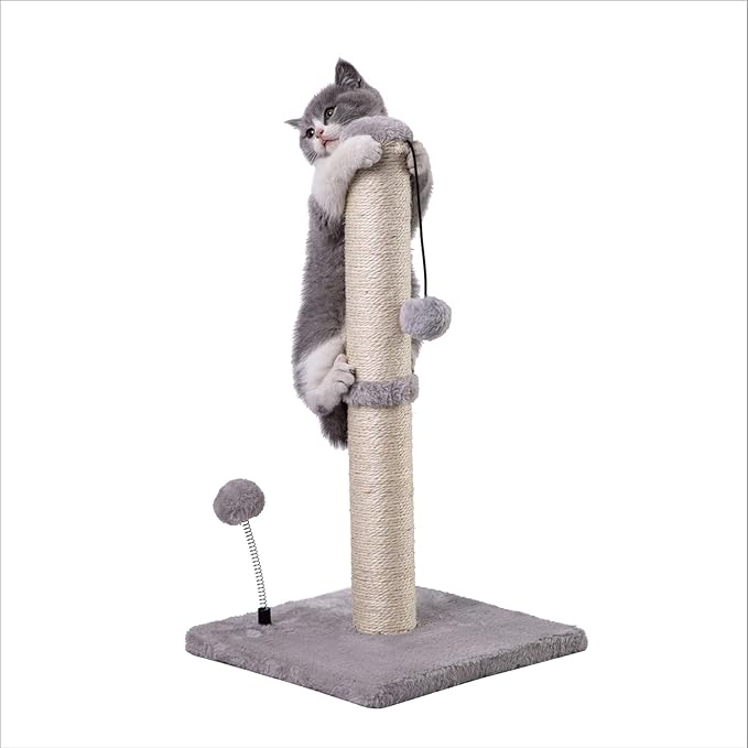 Cat Scratching Post Premium Basics Kitten Scratcher Sisal Scratch Posts with Hanging Ball