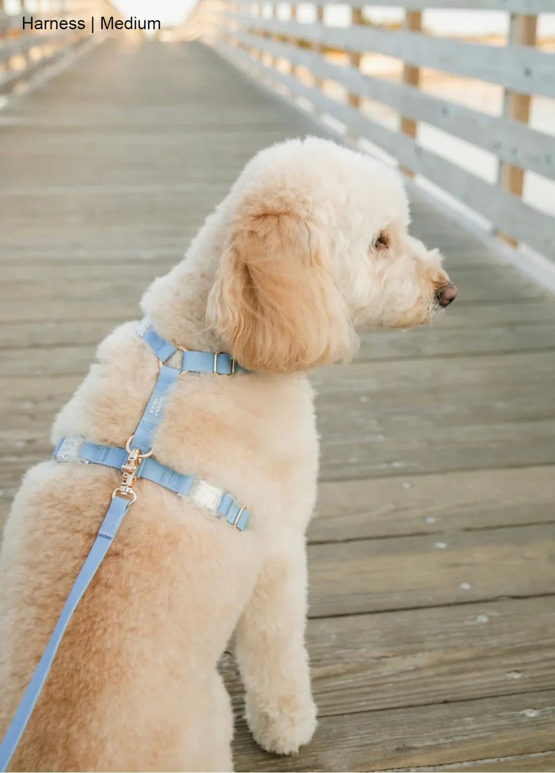 Sunny Tails Waterproof Harness - Malibu Blue