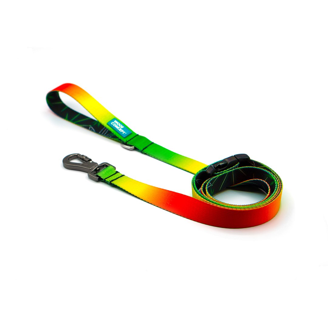 Woof Concept Ikonic Leash