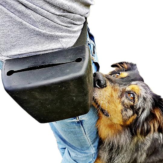 The Trainers Pouch Original