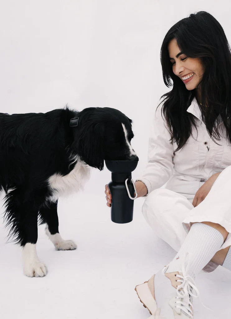 Springer Classic Flip Dog Travel Bottle (Colors)