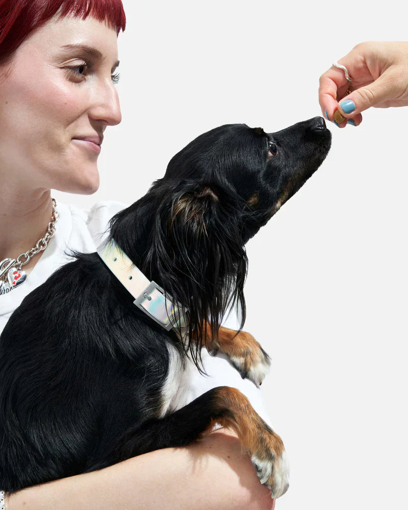 Wild One Collar - Lunar