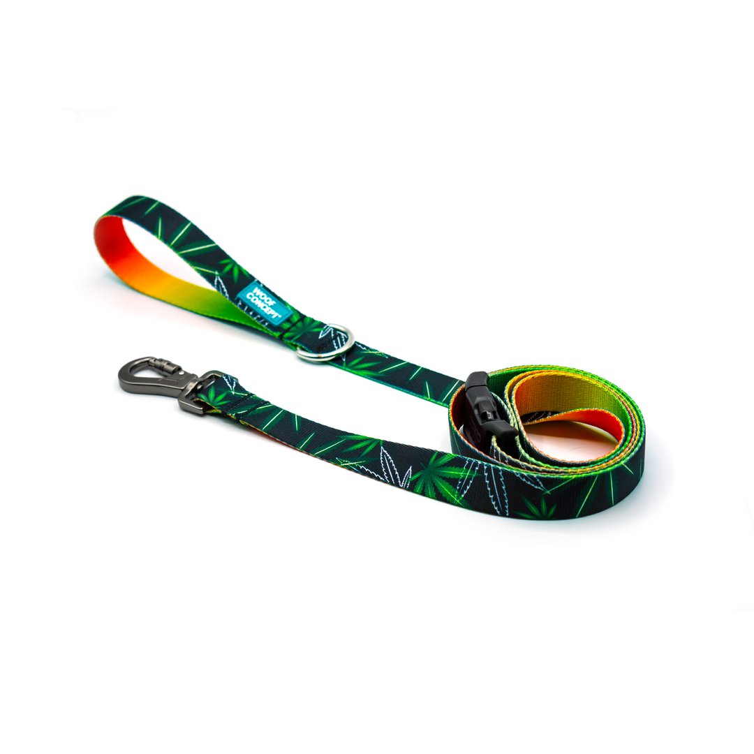 Woof Concept Ikonic Leash