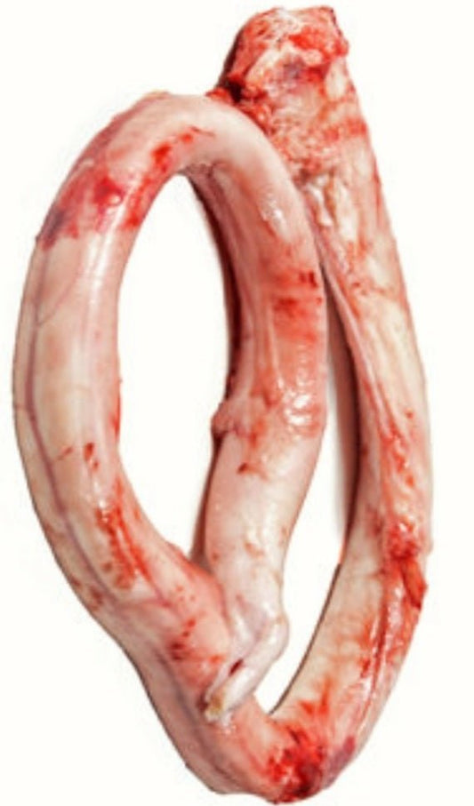 Bulk Beef Pizzles 30 lbs