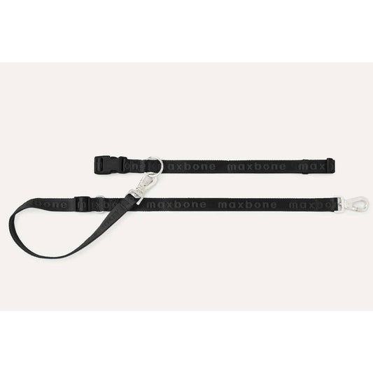 Go With Ease! Hands Free Leash