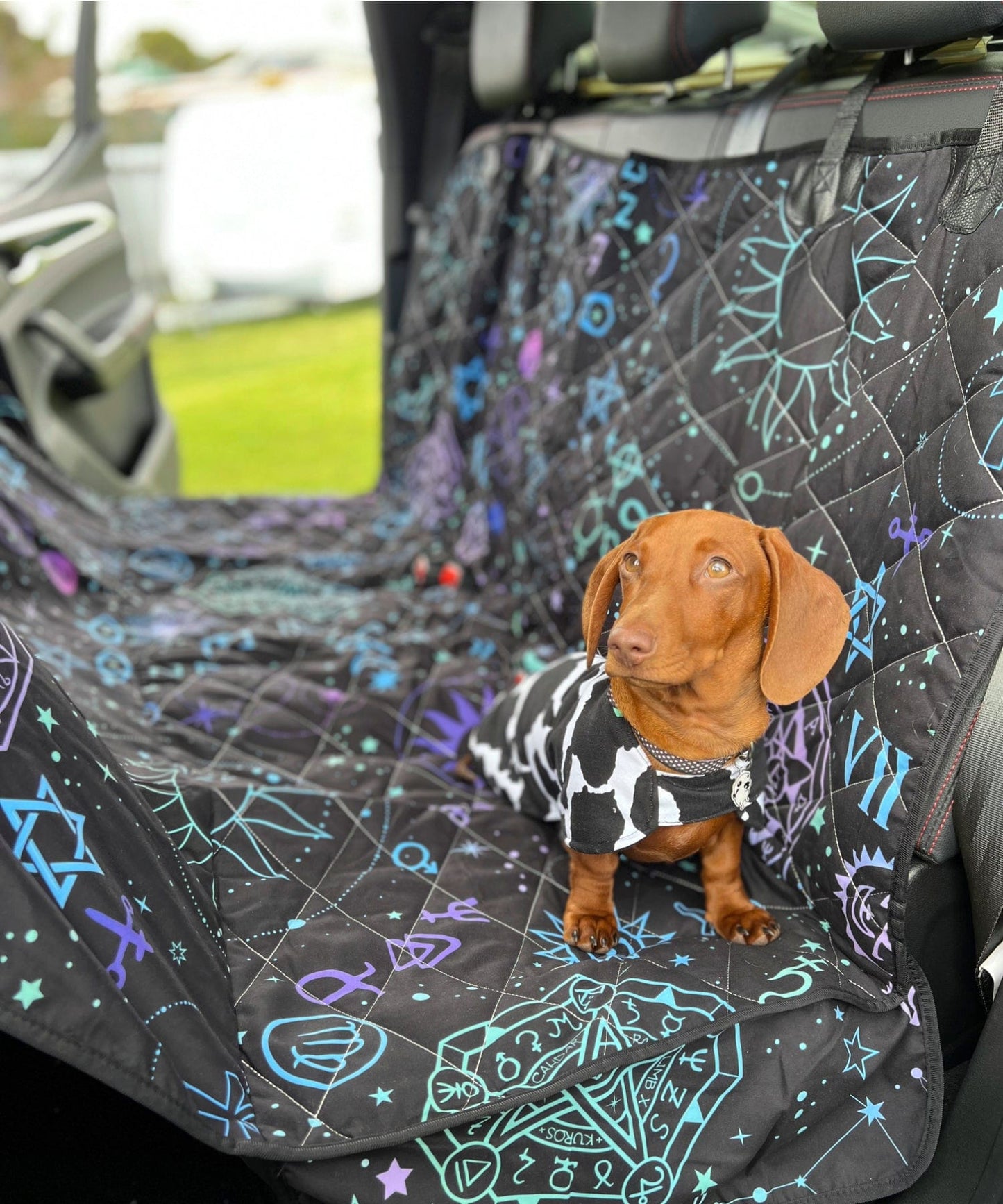 Celestial Dog Car Seat Covers