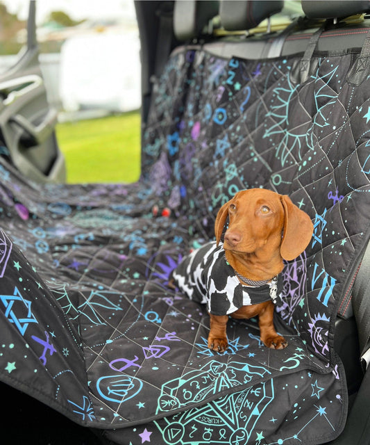 Celestial Dog Car Seat Covers