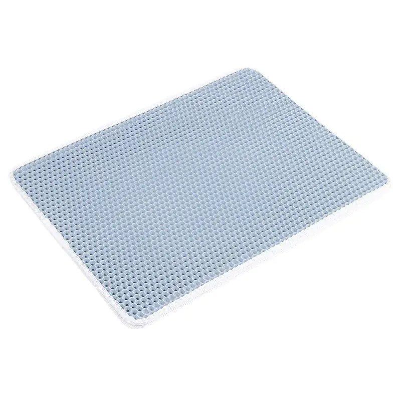 Pet Litter Mat Blue 30X30CM||5