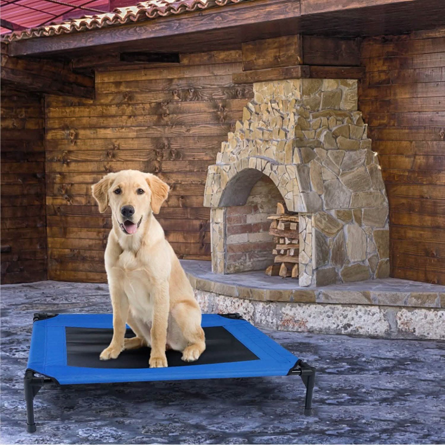 Elevated Dog Cot Bed