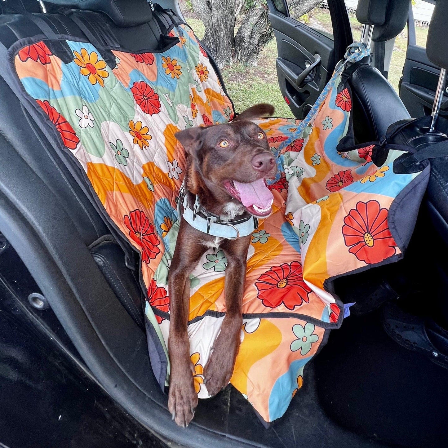 Groovy Daisy Mod Dog Car Seat Covers