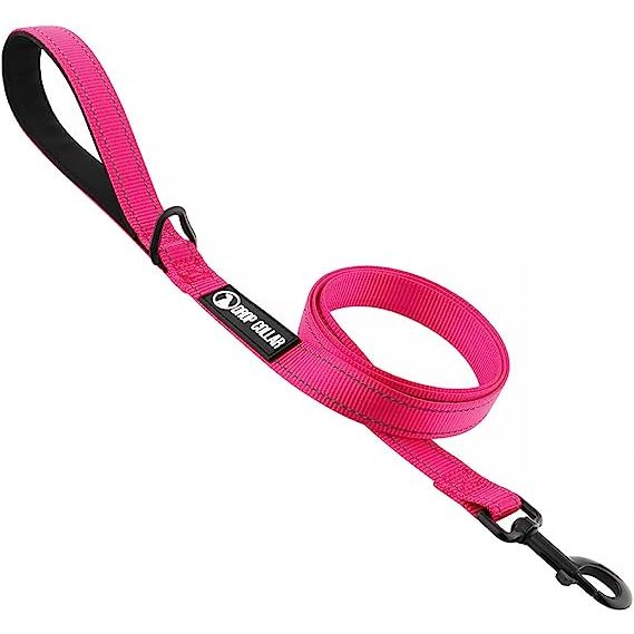 Drop Collar Reflective Nylon Leash with Sleek D-Ring for Accessories & Soft Padded Gel Handle for Comfort (Long)