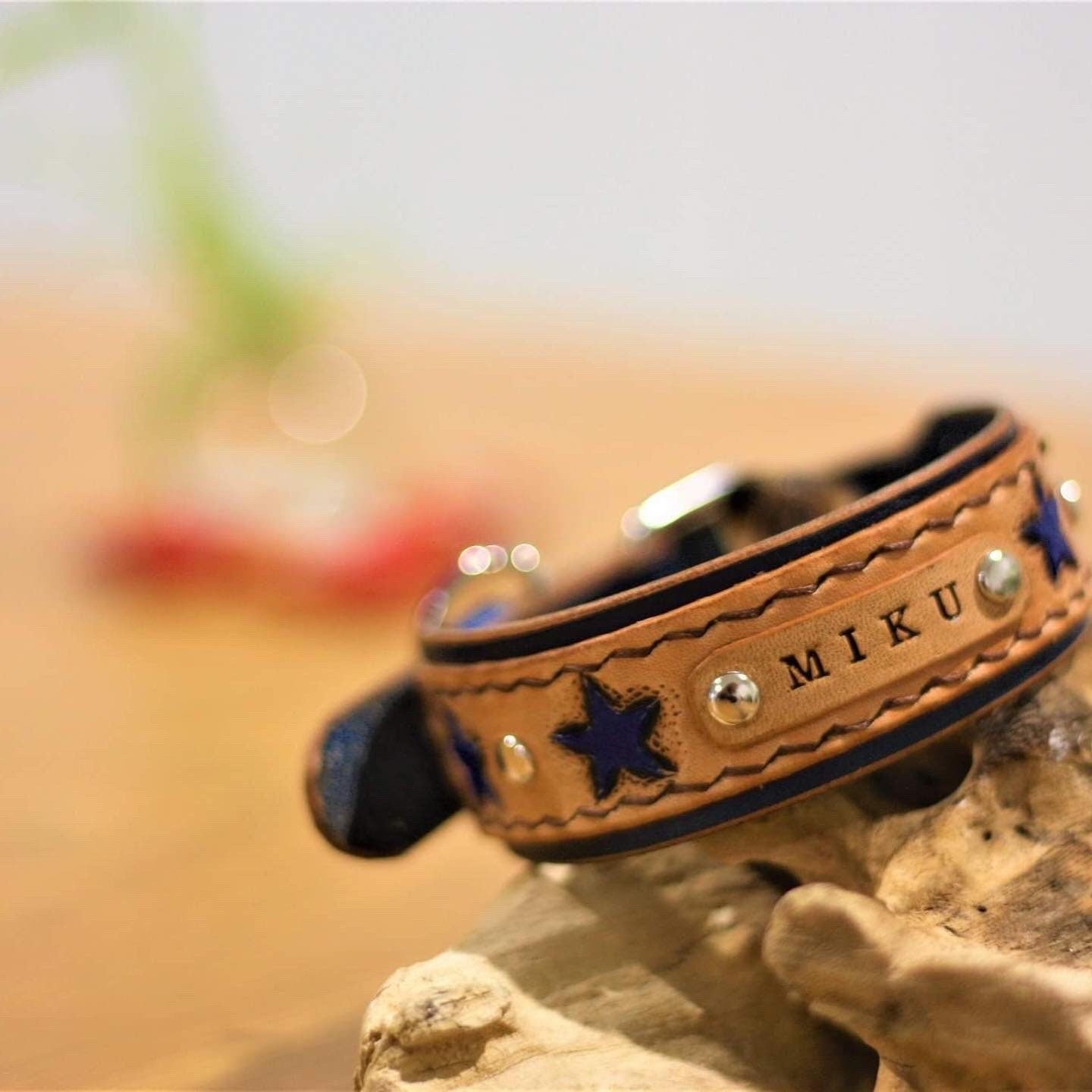 Hand painted shooting star double layered collar