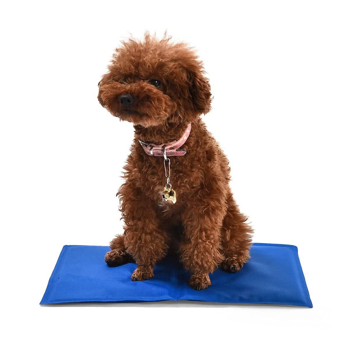 Pet Cooling Mat Pet Supplies S - DailySale