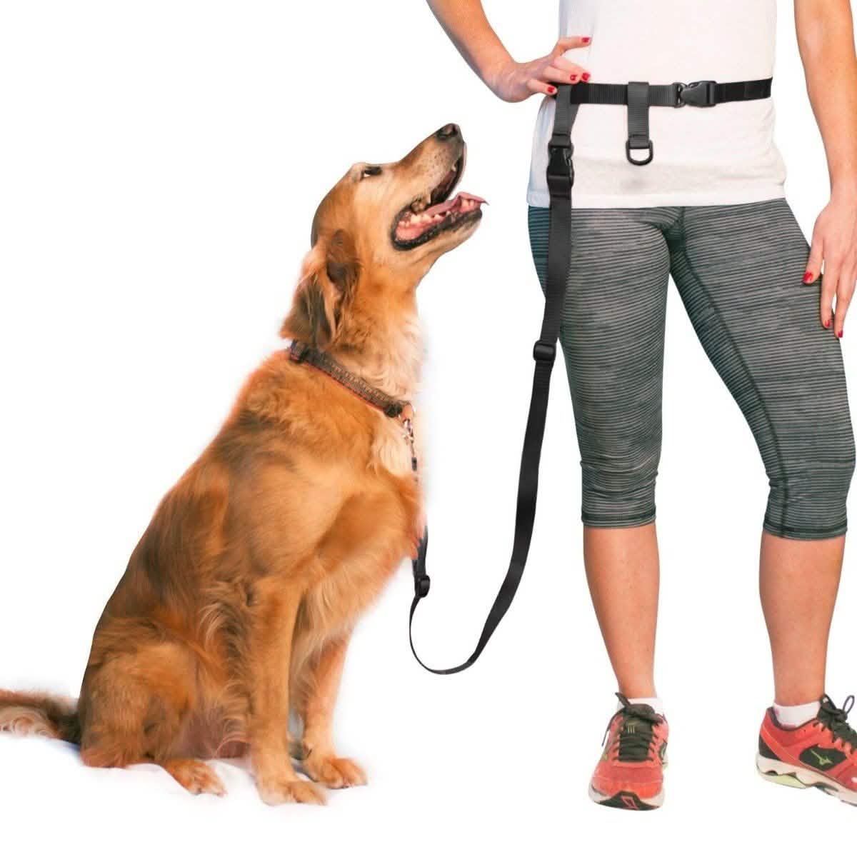 The Buddy System Adjustable Hands Free Dog Leash Pet Supplies Black - DailySale