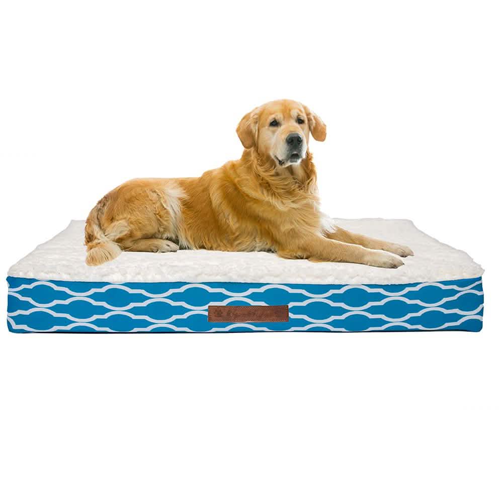 Wags & Whiskers Memory Foam Pet Bed - Assorted Styles Pet Supplies - DailySale
