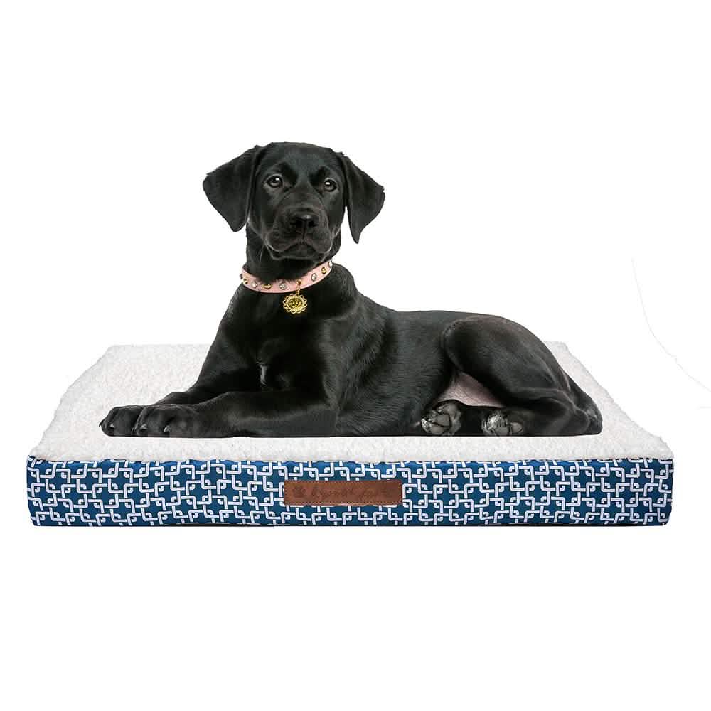 Wags & Whiskers Memory Foam Pet Bed - Assorted Styles Pet Supplies - DailySale