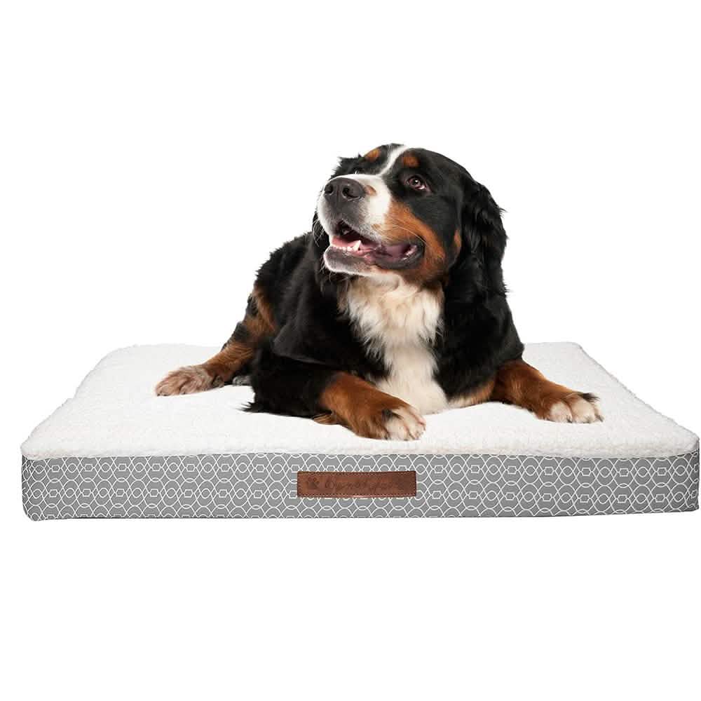 Wags & Whiskers Memory Foam Pet Bed - Assorted Styles Pet Supplies - DailySale