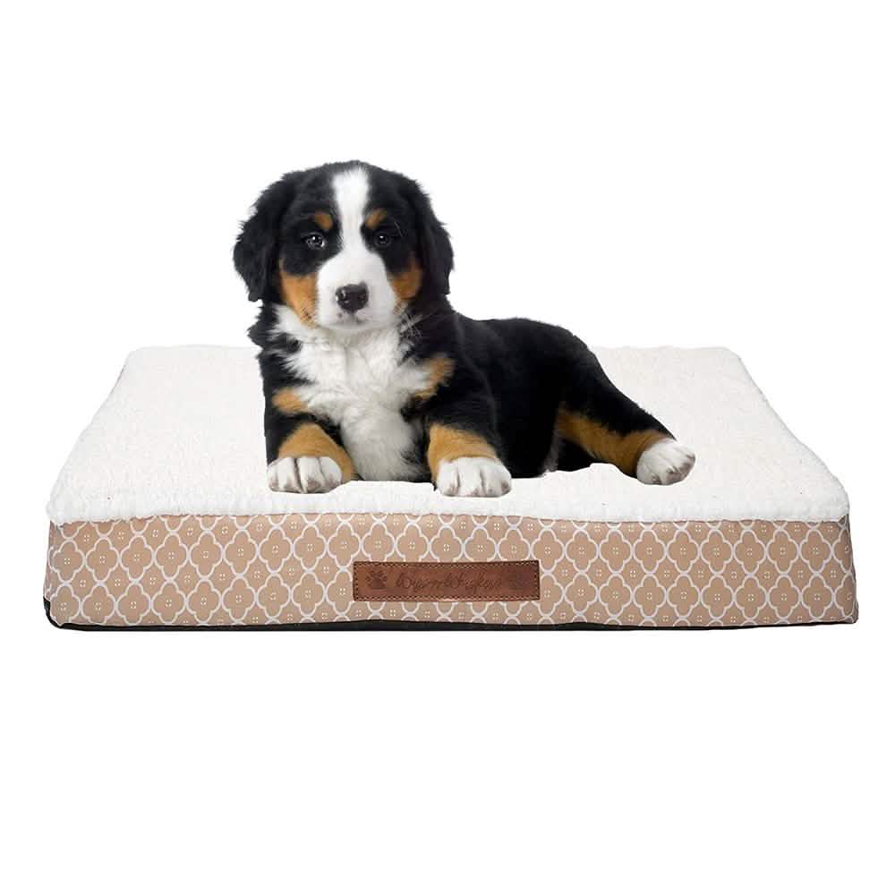 Wags & Whiskers Memory Foam Pet Bed - Assorted Styles Pet Supplies - DailySale