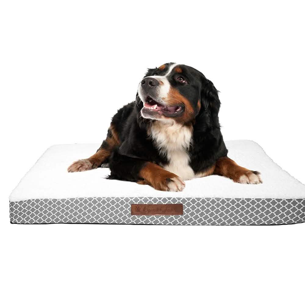 Wags & Whiskers Memory Foam Pet Bed - Assorted Styles Pet Supplies - DailySale