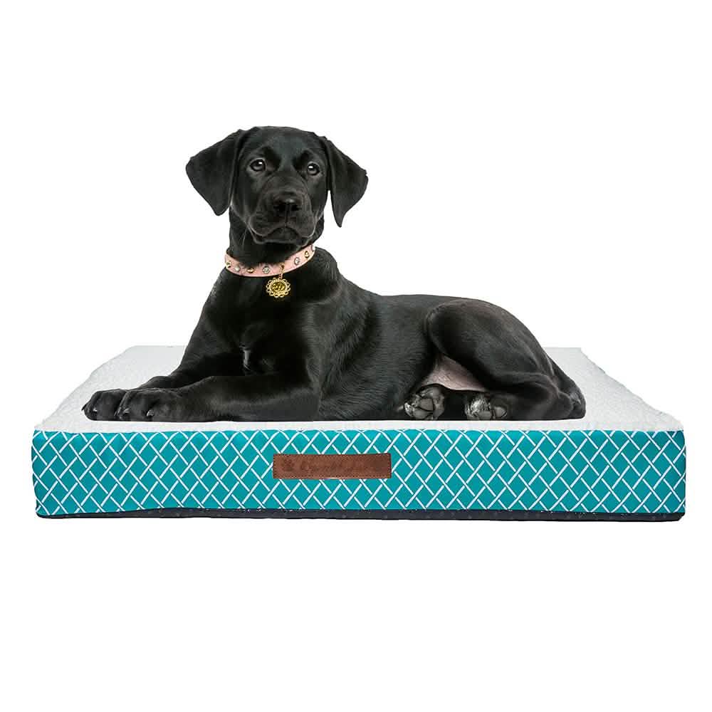 Wags & Whiskers Memory Foam Pet Bed - Assorted Styles Pet Supplies - DailySale