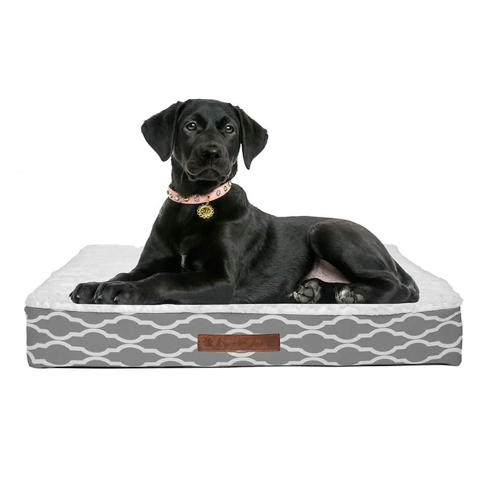 Wags & Whiskers Memory Foam Pet Bed - Assorted Styles Pet Supplies - DailySale
