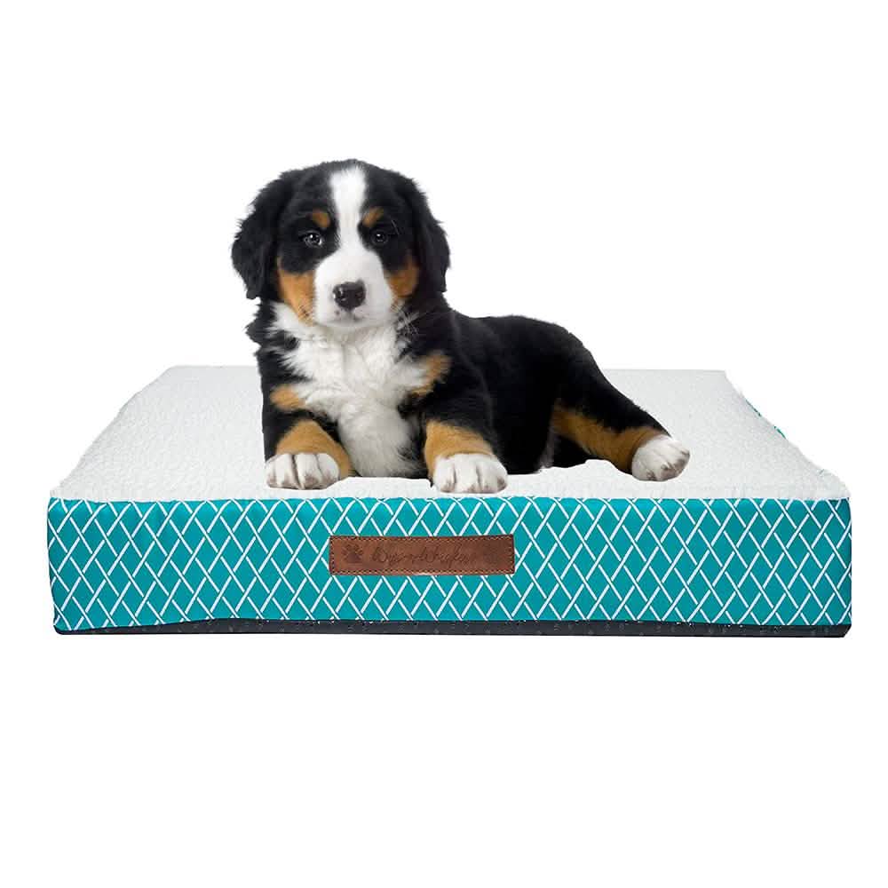 Wags & Whiskers Memory Foam Pet Bed - Assorted Styles Pet Supplies - DailySale